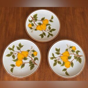 Set of 3 - Vintage 1970s Mikasa ‘Natural Beauty’ Stoneware Dinner Plates